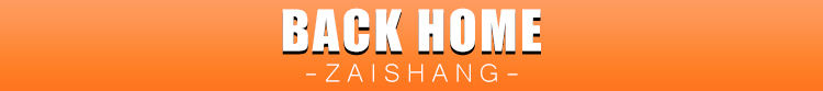 Professional wholesale best 12v electric hydraulic floor jack